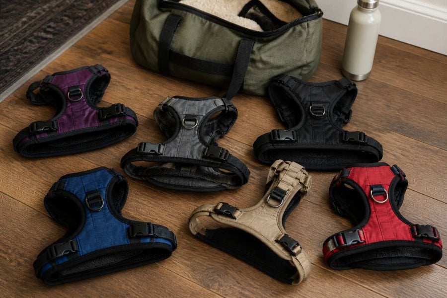 7 Comfortable Dog Harnesses for Travel in 2026