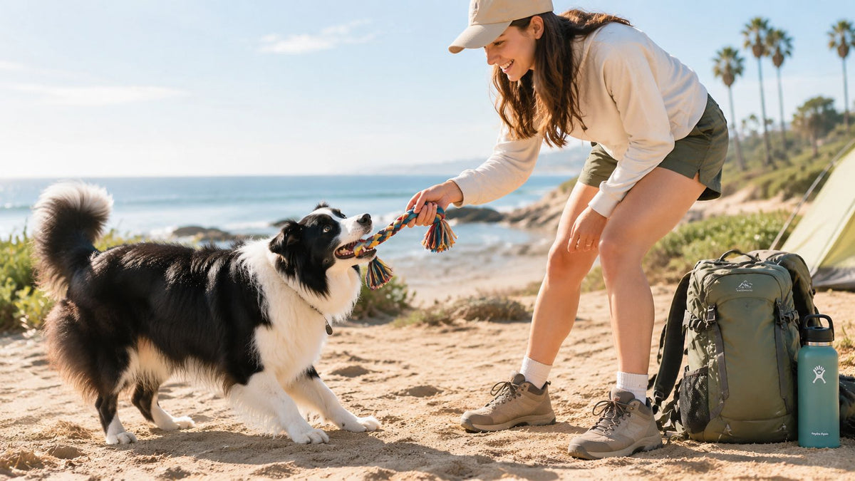 Dog Rope Toys: Safe Play, Smart Choices, and Travel Ideas