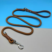 TrailGrip Heavy-Duty Dog Lead – Tactical Nylon Lead — Brown / M — Everyday Walks — pet travel Australia
