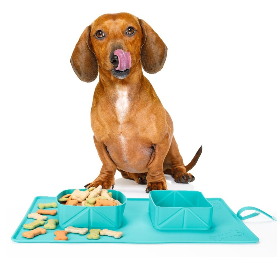 FoldSip Silicone Bowls – Collapsible Silicone Travel Bowls — Everyday Essentials — pet travel Australia
