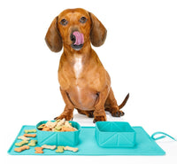 FoldSip Silicone Bowls – Collapsible Silicone Travel Bowls — Everyday Essentials — pet travel Australia