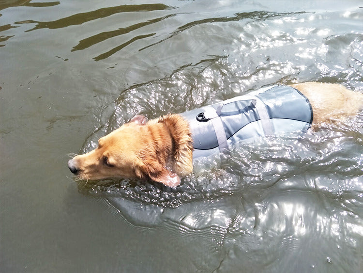 HarbourVest Dog Life Jacket – Dog Life Jacket with Rescue Handle — Grey / S — Weekends Away — pet travel Australia