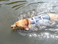 HarbourVest Dog Life Jacket – Dog Life Jacket with Rescue Handle — Grey / S — Weekends Away — pet travel Australia