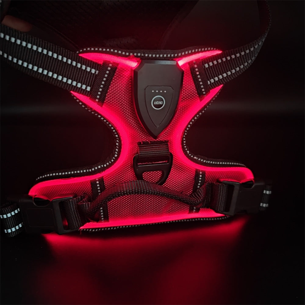 GlowTrail LED Dog Harness – USB LED Walking Harness — Dark Blue Lead / Lead — The Signature Edit — pet travel Australia