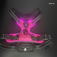 GlowTrail LED Dog Harness – USB LED Walking Harness — Black / L — The Signature Edit — pet travel Australia