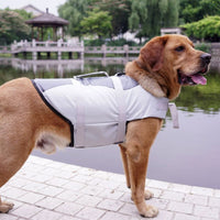 HarbourVest Dog Life Jacket – Dog Life Jacket with Rescue Handle — Grey / L — Weekends Away — pet travel Australia
