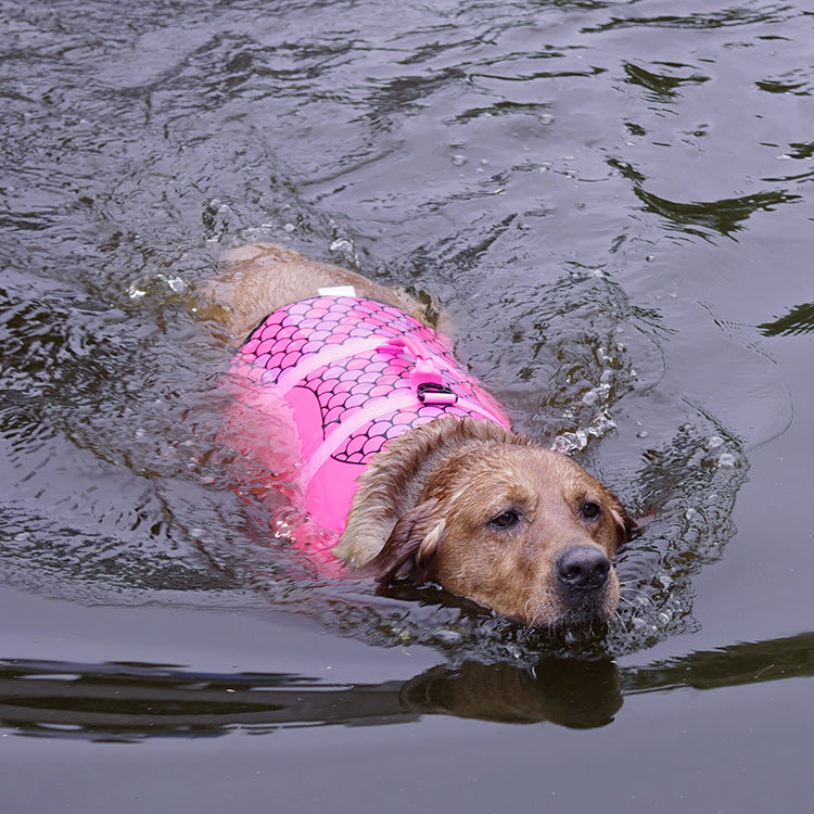 HarbourVest Dog Life Jacket – Dog Life Jacket with Rescue Handle — Grey / XS — Weekends Away — pet travel Australia