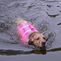 HarbourVest Dog Life Jacket – Dog Life Jacket with Rescue Handle — Grey / XS — Weekends Away — pet travel Australia
