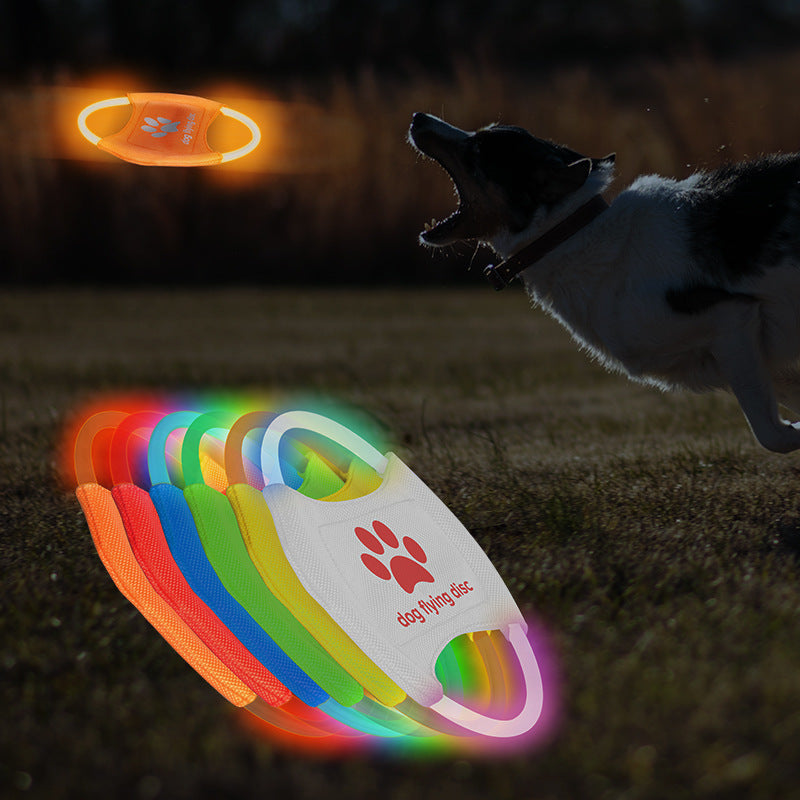 GlowCatch rechargeable dog disc with USB charging