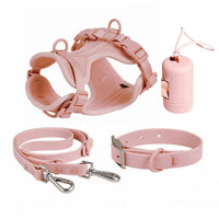 TrailGuard Harness Set – Harness Lead and Collar Set — Black / XS — Everyday Walks — pet travel Australia