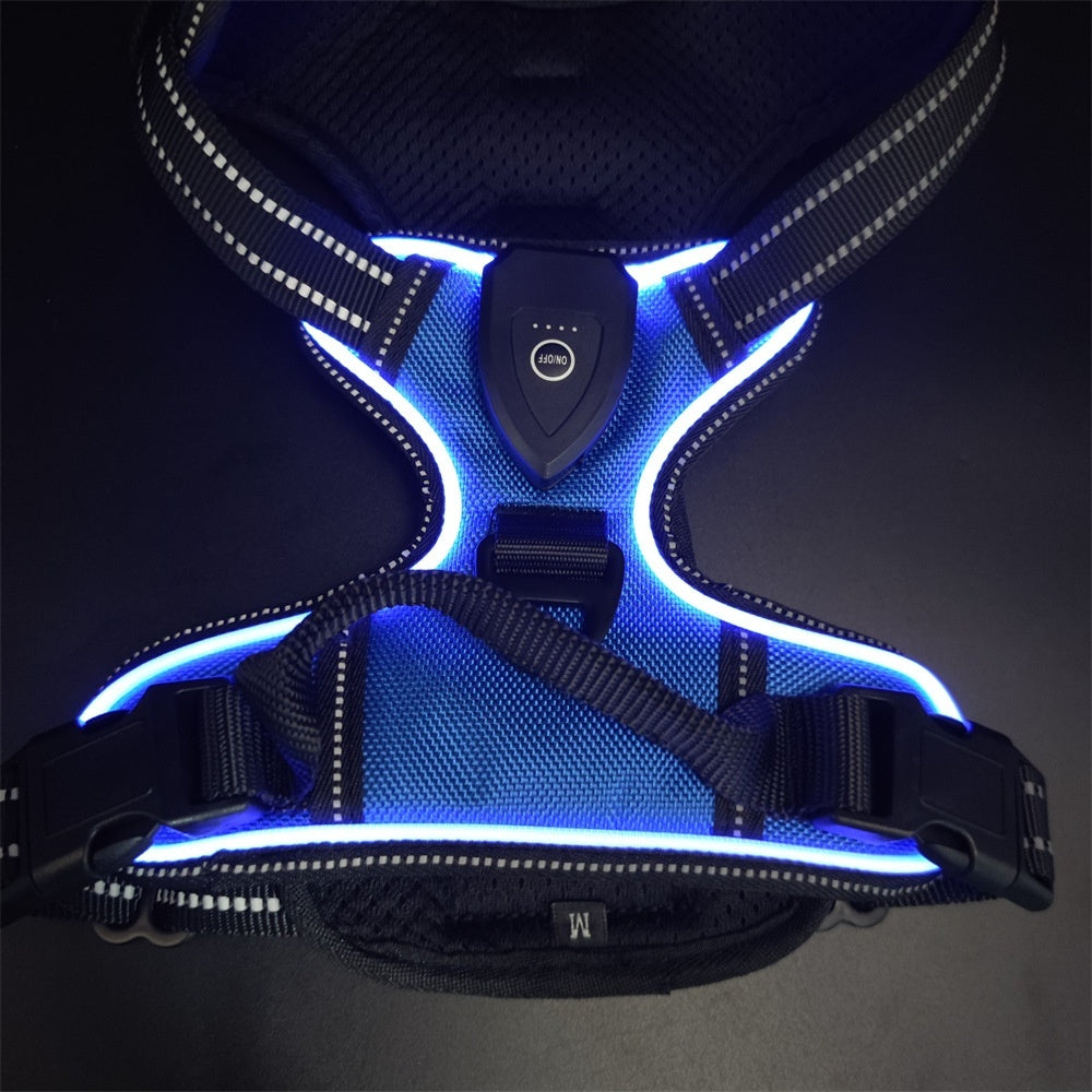 GlowTrail LED Dog Harness – USB LED Walking Harness — Grass Green / S — The Signature Edit — pet travel Australia