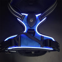 GlowTrail LED Dog Harness – USB LED Walking Harness — Grass Green / S — The Signature Edit — pet travel Australia