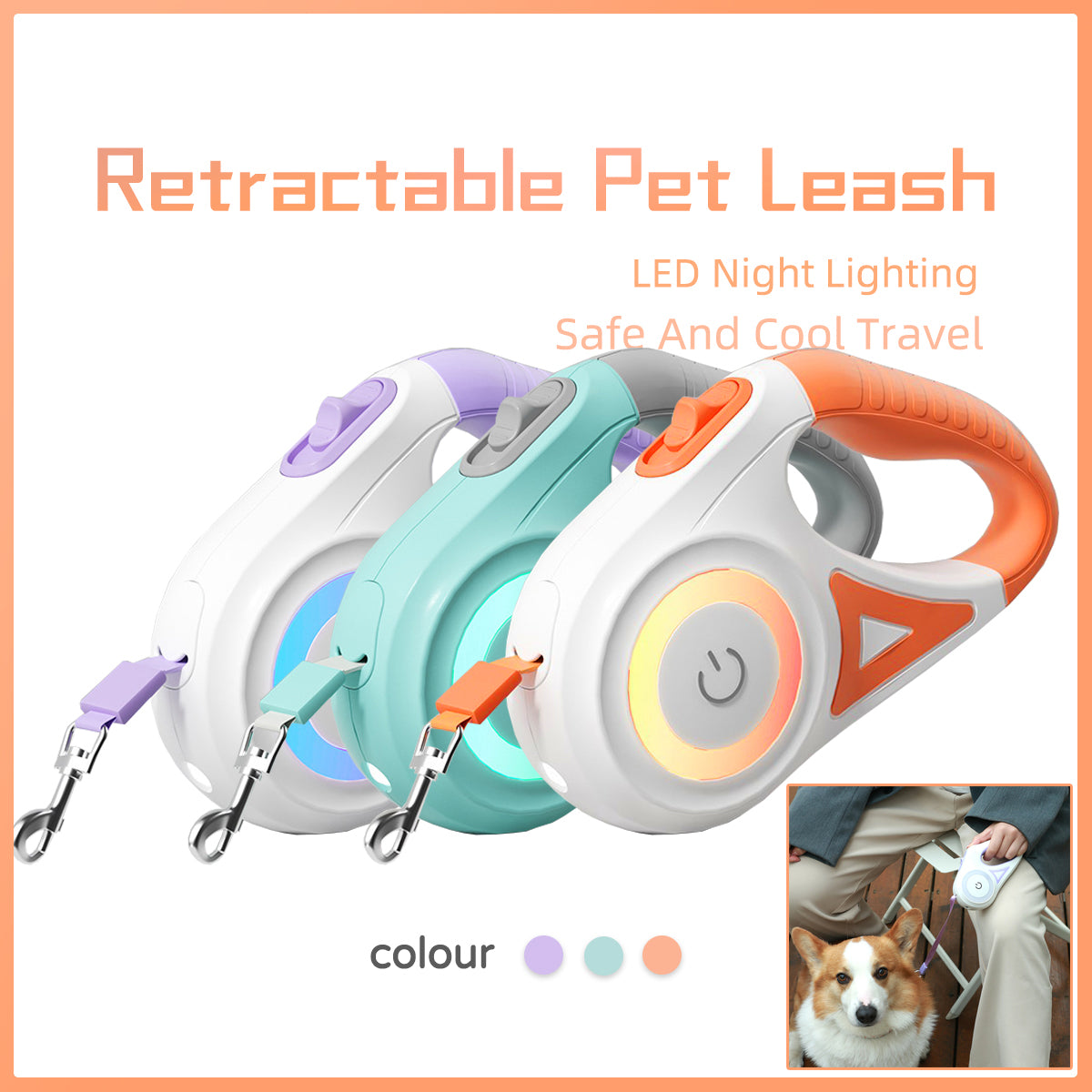ReachLock Retractable Dog Lead – Retractable Lead with Lock — Purple / 3 m / Lead + collar — The Signature Edit — pet travel Australia