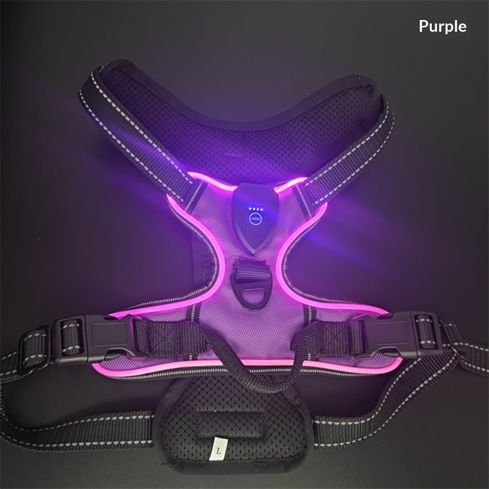 GlowTrail LED Dog Harness – USB LED Walking Harness — Black / M — The Signature Edit — pet travel Australia