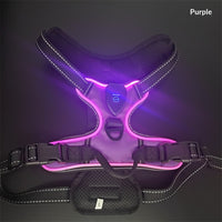 GlowTrail LED Dog Harness – USB LED Walking Harness — Black / M — The Signature Edit — pet travel Australia