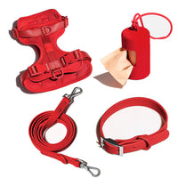 TrailGuard Harness Set – Harness Lead and Collar Set — Light Grey / M — Everyday Walks — pet travel Australia