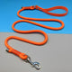 Orange Red