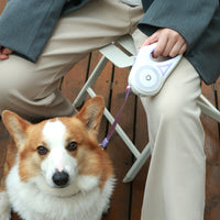 ReachLock Retractable Dog Lead – Retractable Lead with Lock — Green / 3 m / Lead + collar — The Signature Edit — pet travel Australia