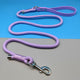 Lavender Purple