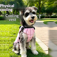 PhaseCool Ice Pad – Phase-Change Cooling Pad — Light Blue / L — Weekends Away — pet travel Australia