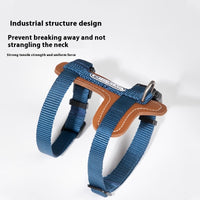 CatTrail Vest & Lead – Cat Vest Harness and Lead — Everyday Walks — pet travel Australia