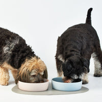 StayPut Ceramic Bowls – Weighted Ceramic Pet Bowls-0