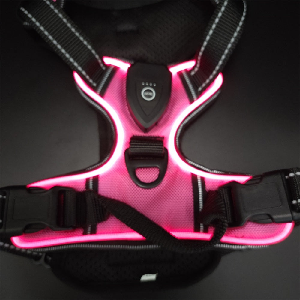 GlowTrail LED Dog Harness – USB LED Walking Harness — Orange / XL — The Signature Edit — pet travel Australia