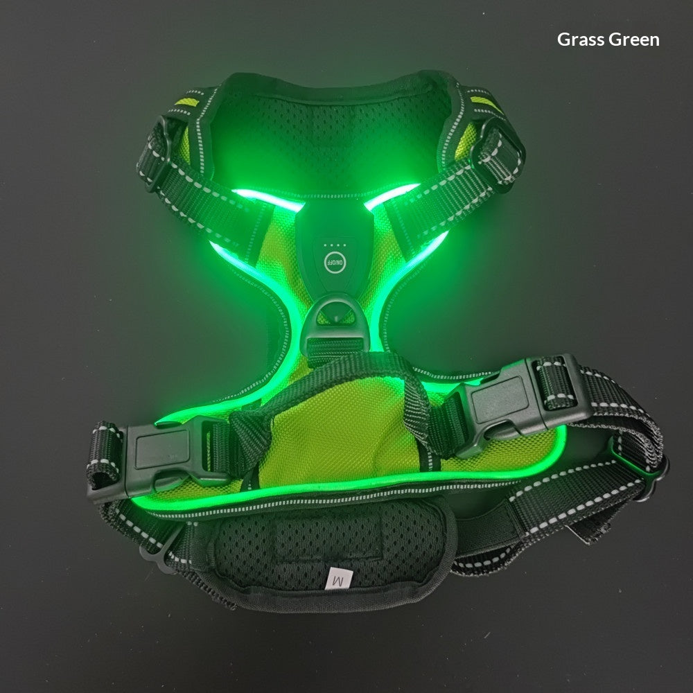 GlowTrail LED Dog Harness – USB LED Walking Harness — Black / S — The Signature Edit — pet travel Australia