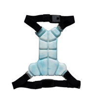 PhaseCool Ice Pad – Phase-Change Cooling Pad — Light Blue / S — Weekends Away — pet travel Australia