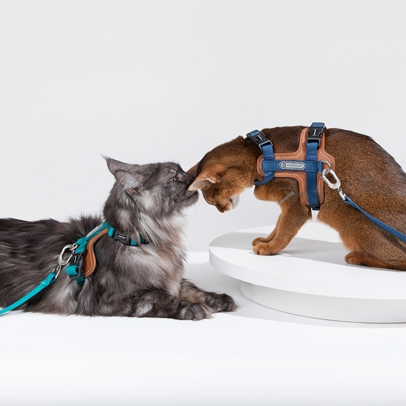 CatTrail Vest & Lead – Cat Vest Harness and Lead — Yunshan Blue — Everyday Walks — pet travel Australia