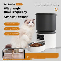 StayFed Autofeeder 4L – Timed 4L Pet Feeder — 4 L Button / Plastic Bowl — Home While You're Away — pet travel Australia