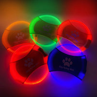GlowCatch light-up dog toy for evening play
