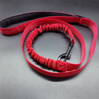 GlowTrail LED Dog Harness – USB LED Walking Harness — Pink / L — The Signature Edit — pet travel Australia