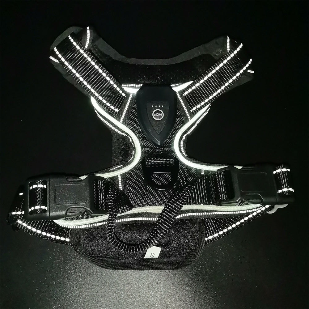 GlowTrail LED Dog Harness – USB LED Walking Harness — Dark Blue / XL — The Signature Edit — pet travel Australia
