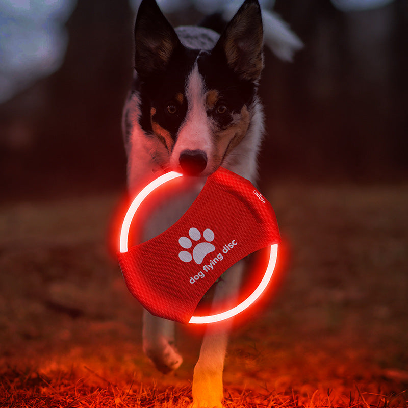 GlowCatch light-up dog disc by Fur & Far