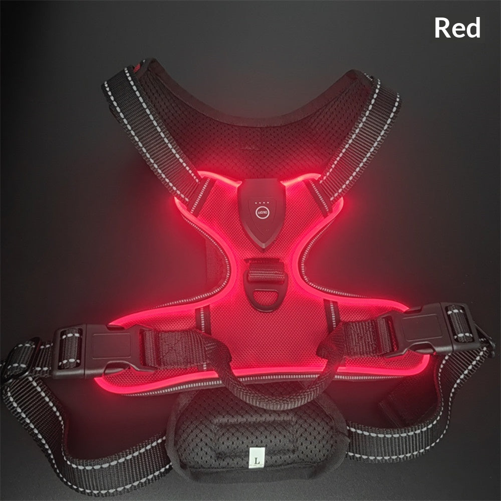 GlowTrail LED Dog Harness – USB LED Walking Harness — Dark Blue / S — The Signature Edit — pet travel Australia