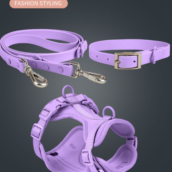 TrailGuard Harness Set – Harness Lead and Collar Set — Black / L — Everyday Walks — pet travel Australia