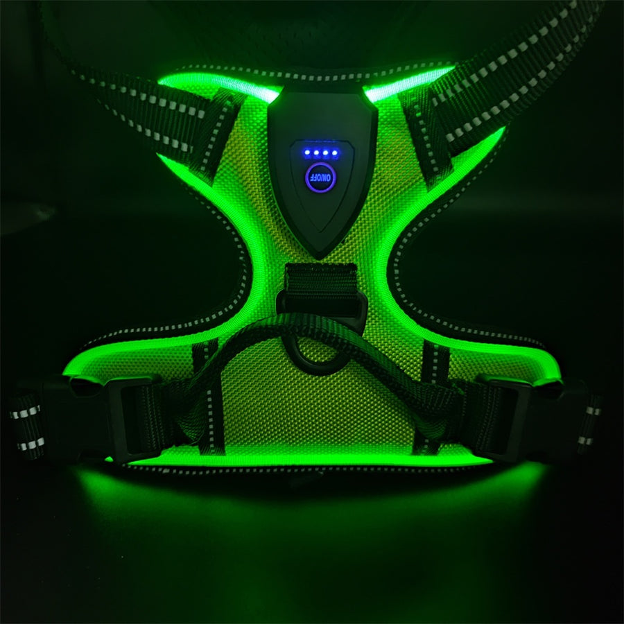 GlowTrail LED Dog Harness – USB LED Walking Harness — Black Lead / Lead — The Signature Edit — pet travel Australia