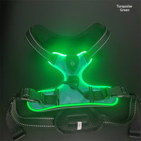 GlowTrail LED Dog Harness – USB LED Walking Harness — Black / XL — The Signature Edit — pet travel Australia