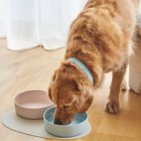 StayPut Ceramic Bowls – Weighted Ceramic Pet Bowls-2